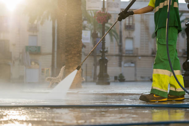 Best Driveway Pressure Washing  in Round Lake Heights, IL